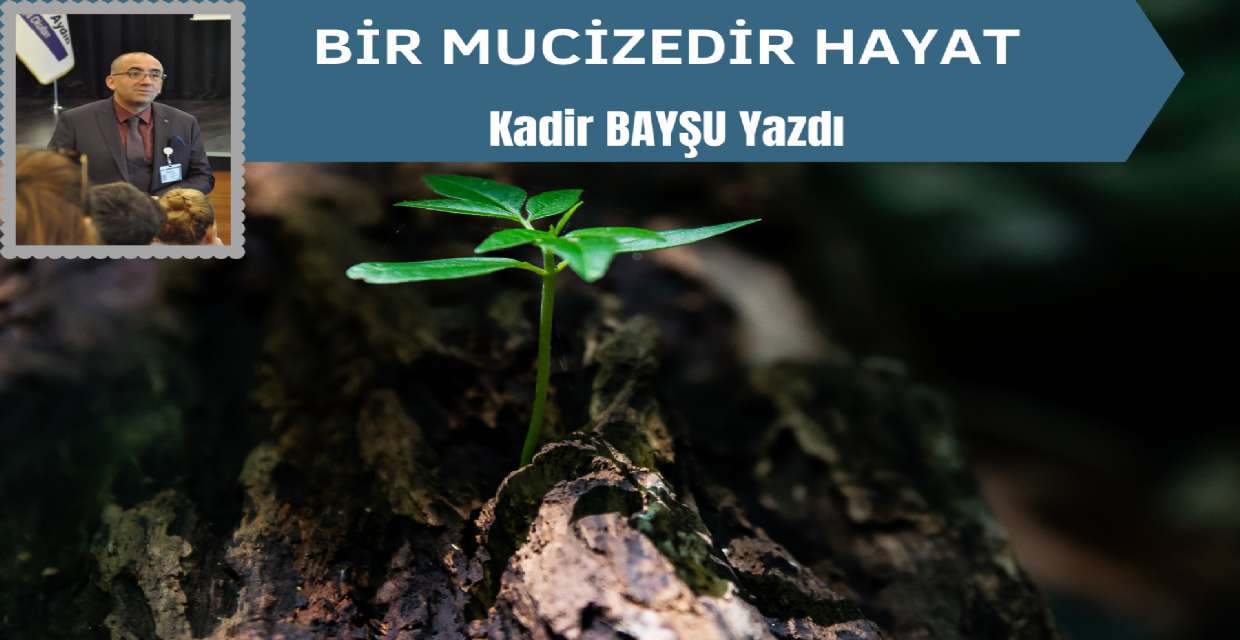 BİR MUCİZEDİR HAYAT