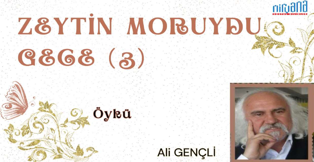 Öykü: ZEYTİN MORUYDU GECE (3)   