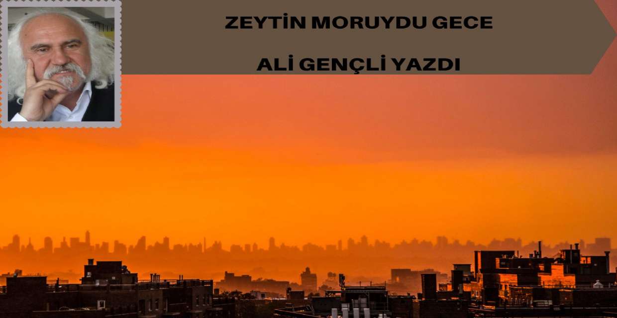 ZEYTİN MORUYDU GECE