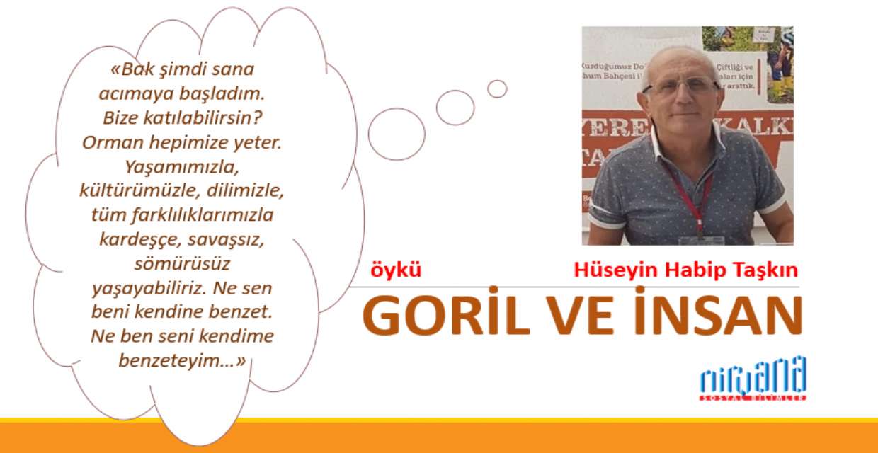 Goril ve İnsan