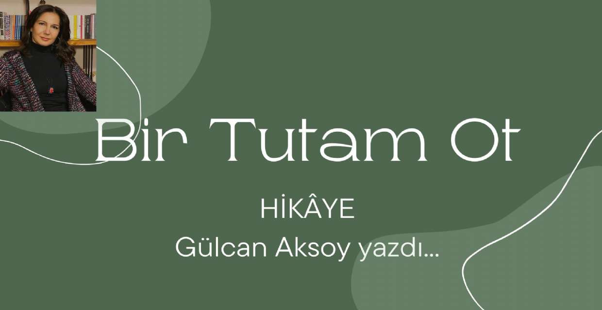 BİR TUTAM OT