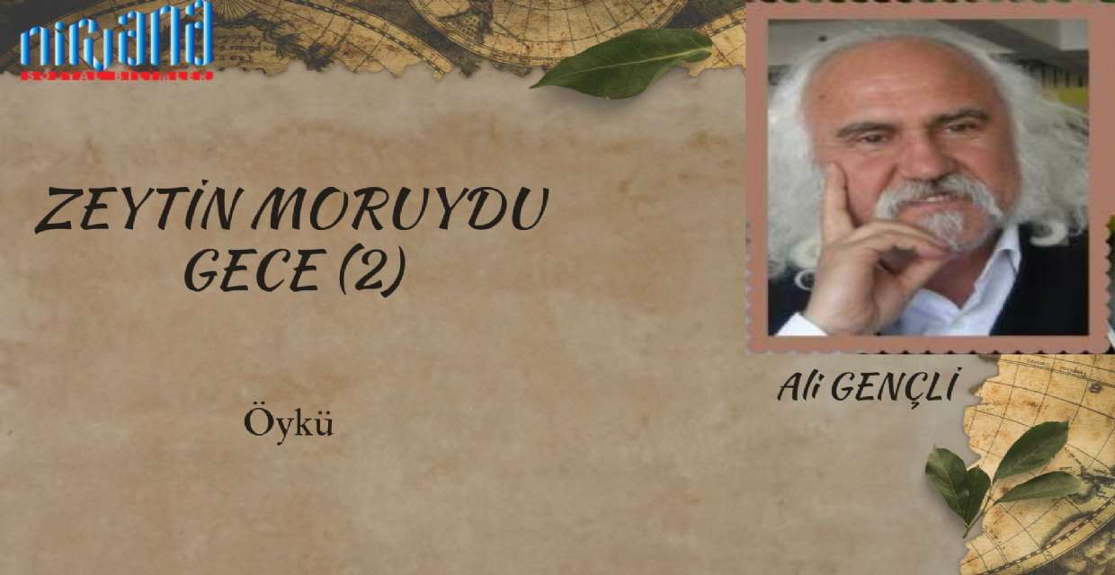 Öykü: ZEYTİN MORUYDU GECE (2)